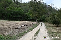 VBS_5486 - C'è un mare di velluto verde! E tu che sognavi di andare lontano... Quanta meraviglia, quì!
